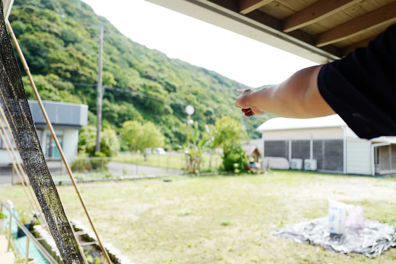 園庭も自由に使えます