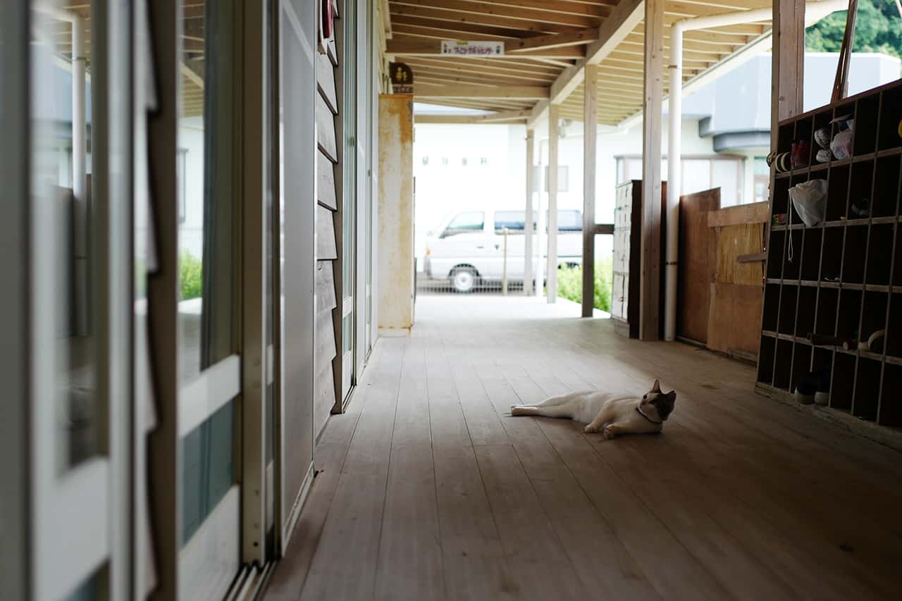 入り口を入ったところから見る廊下