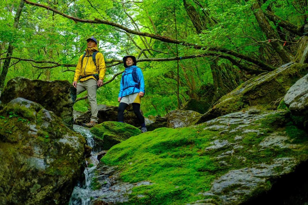 トレッキング_DS-CF3261